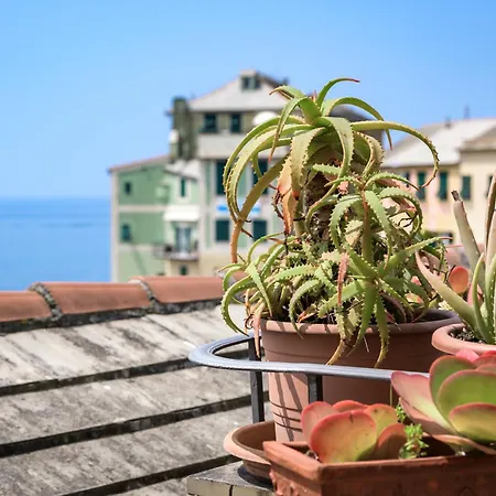 La Terrazzina Sul Mare *